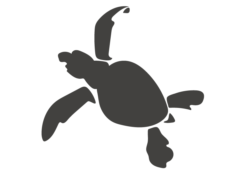 Ilustracion de una cria de tortuga prieta